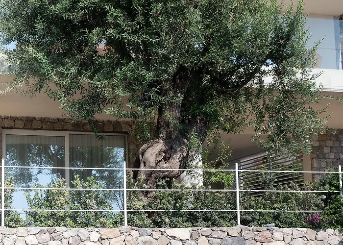 Ξενοδοχείο με διαμερίσματα Iancu Charme