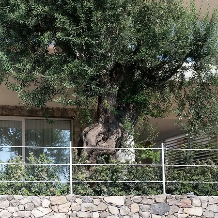 Apart Otel Iancu Charme